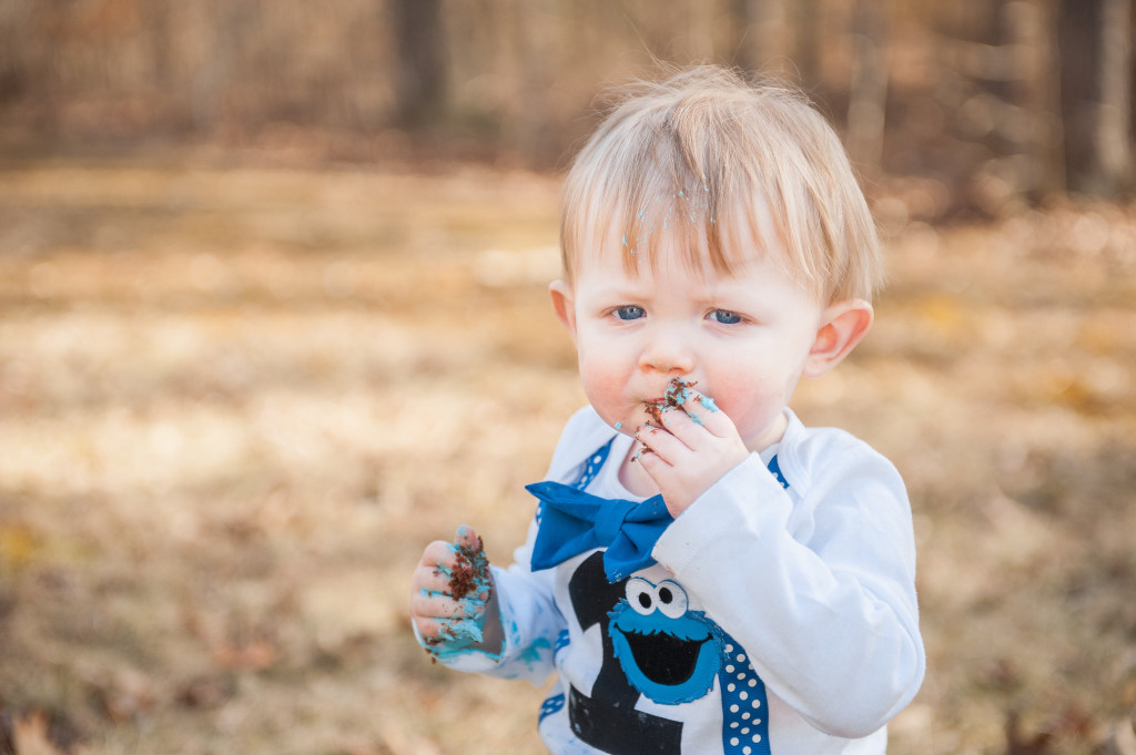 View More: http://crystalreynsphotography.pass.us/luke-one-year